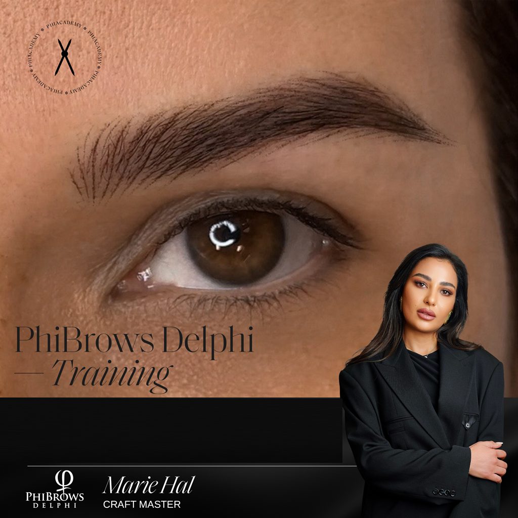 Nano Brows Online Training