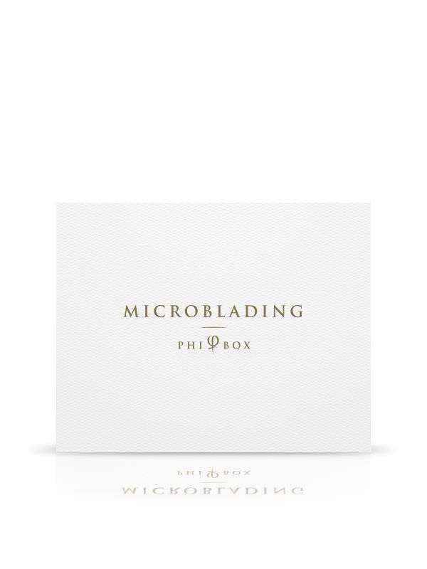Phi Box Microblading Set Pigments & Tools Phi Academy – PhiSupply USA