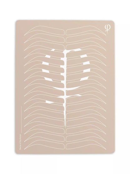 Phi Microblading & PMU Practising Latex Printed Shape and Outlines 3 Count Phi Academy