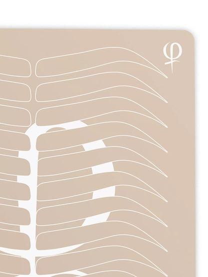 Phi Microblading & PMU Practising Latex Printed Shape and Outlines 3 Count Phi Academy